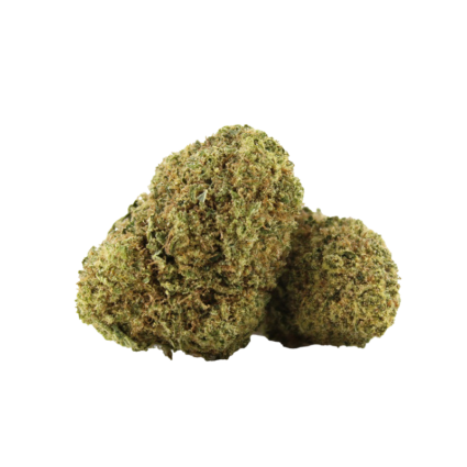 Fleur de CBD DOM PERIGNON