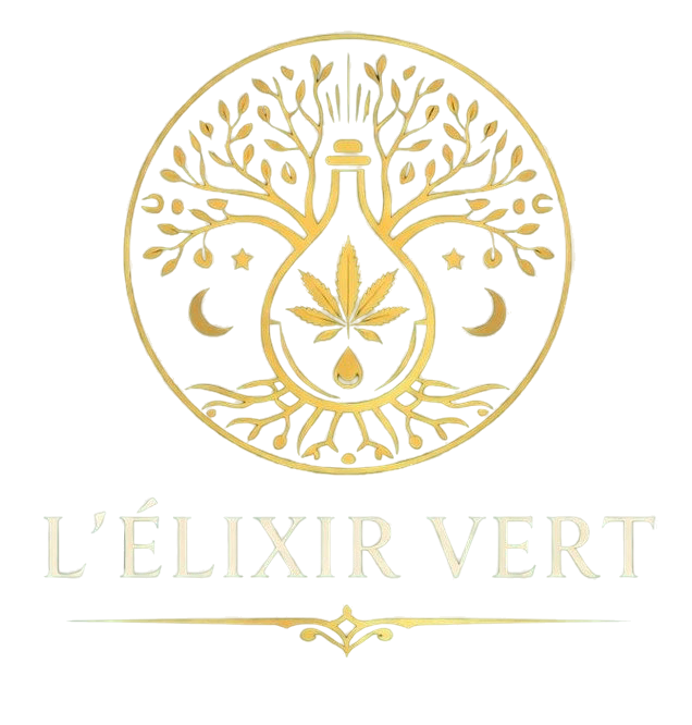 Logo transparent