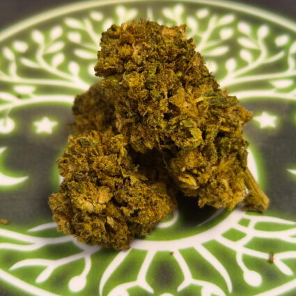 Fleur de CBD WAPENGA Delta 10