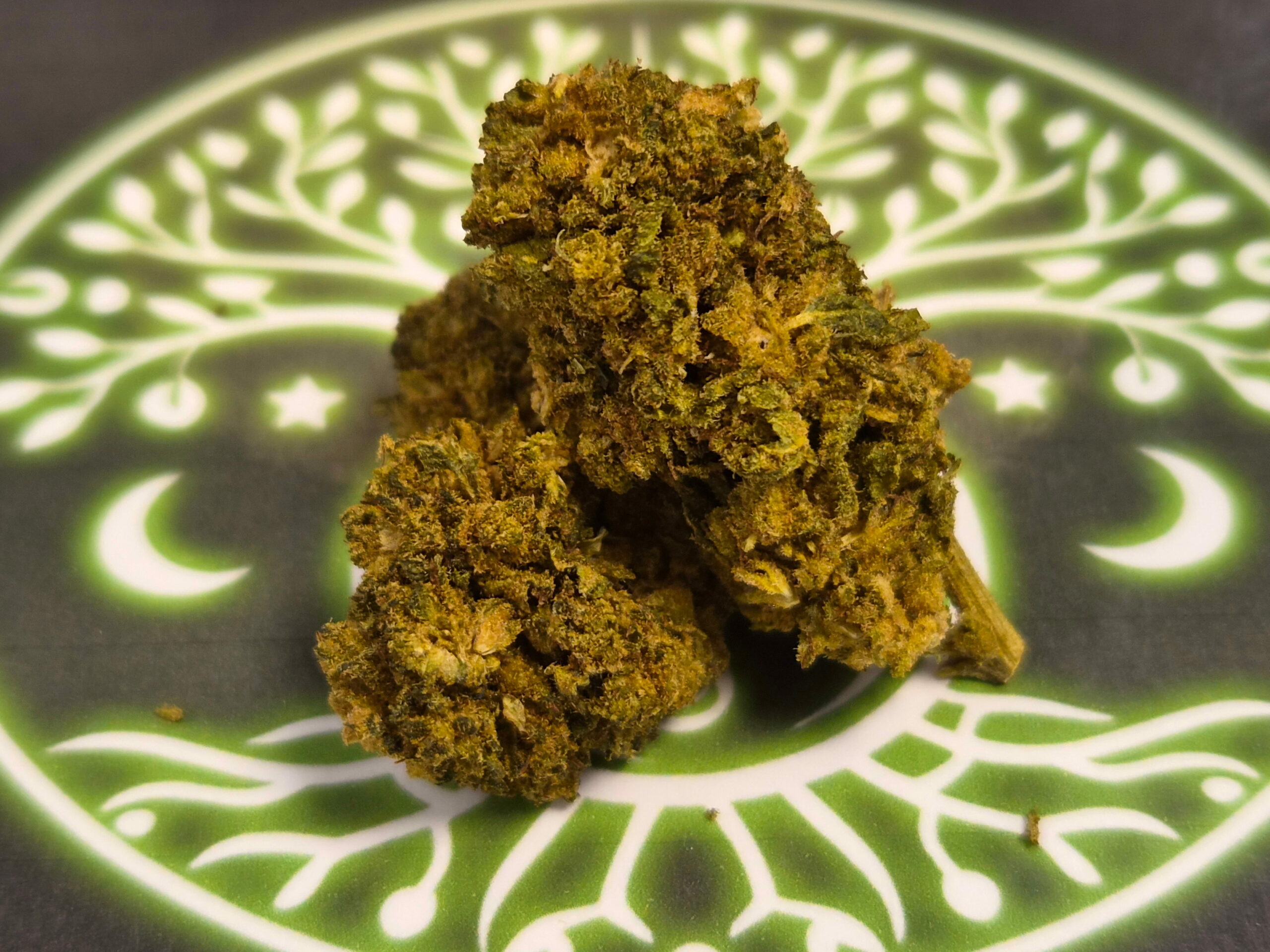Fleur de CBD WAPENGA Delta 10