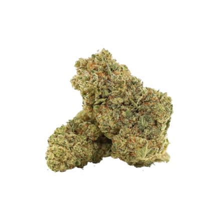 Fleur de CBD CRAZY DOG
