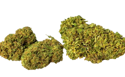 Fleur de CBD MINT KUSH