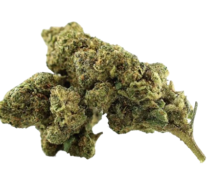 Fleur de CBD SOUL ASSASSIN DELTA-10