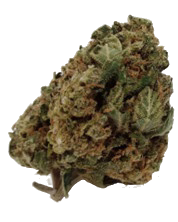 Fleur de CBD TRIPLE CHEDDAR Delta-10