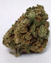 Fleur de CBD TRIPLE CHEDDAR Delta-10