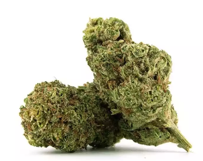 Fleur de CBD WAPENGA Delta-10