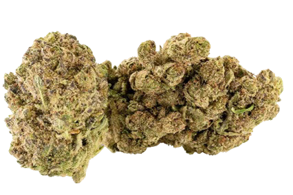 Fleur de CBD WHITE WIDOW DELTA-10