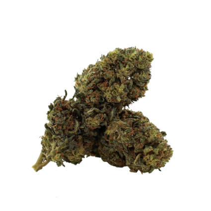 Fleur de CBD WHITE WIDOW DELTA-10