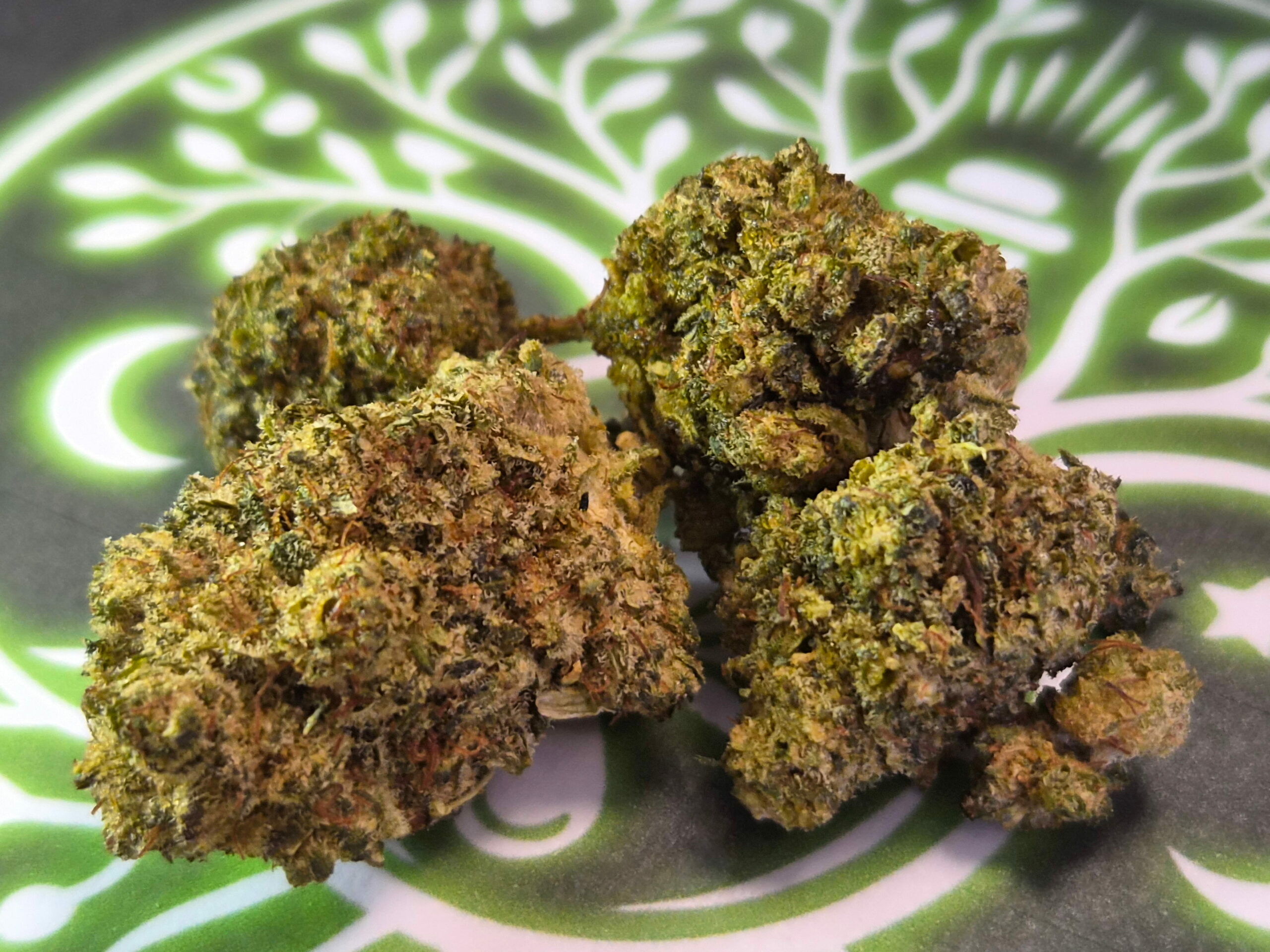 Fleur molécule Delta 10 WHITE WIDOW