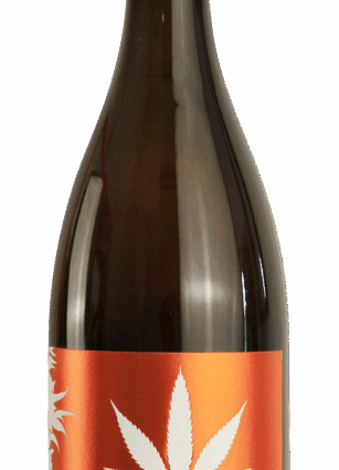 Brume Orange
