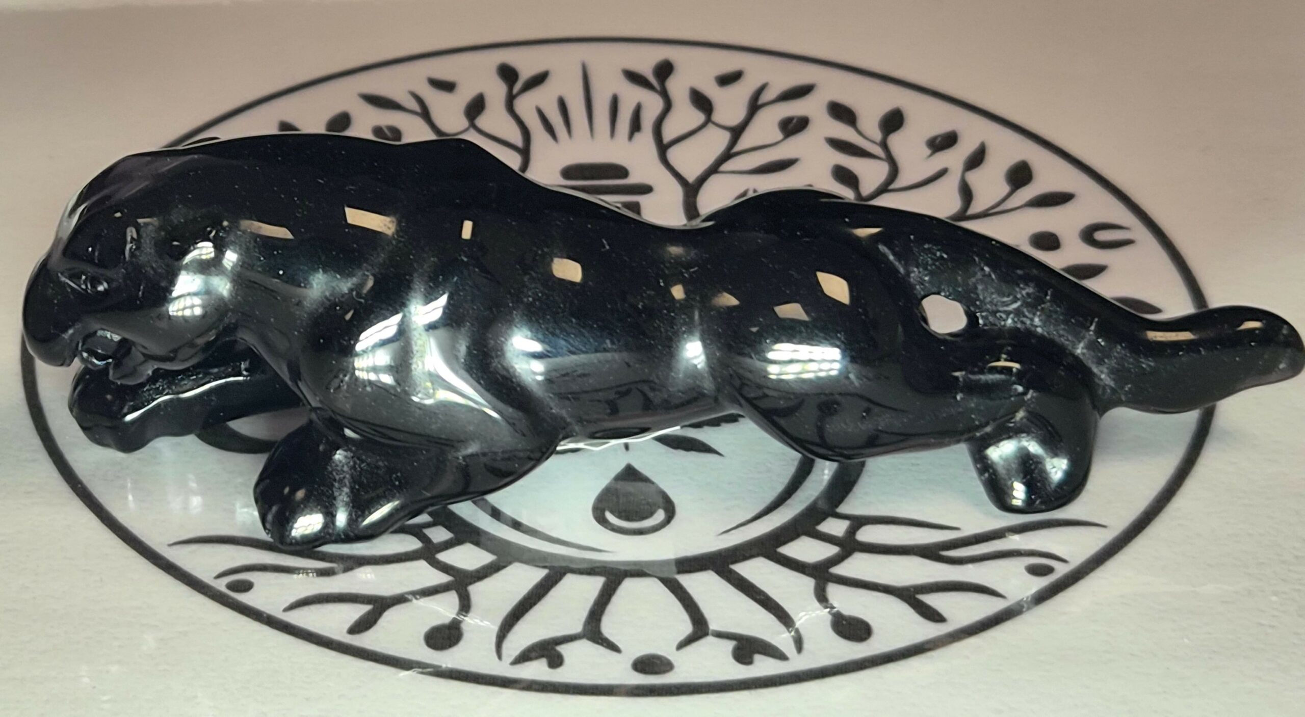 Jaguar Obsidienne noire