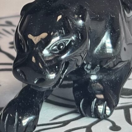 Jaguar Obsidienne noire