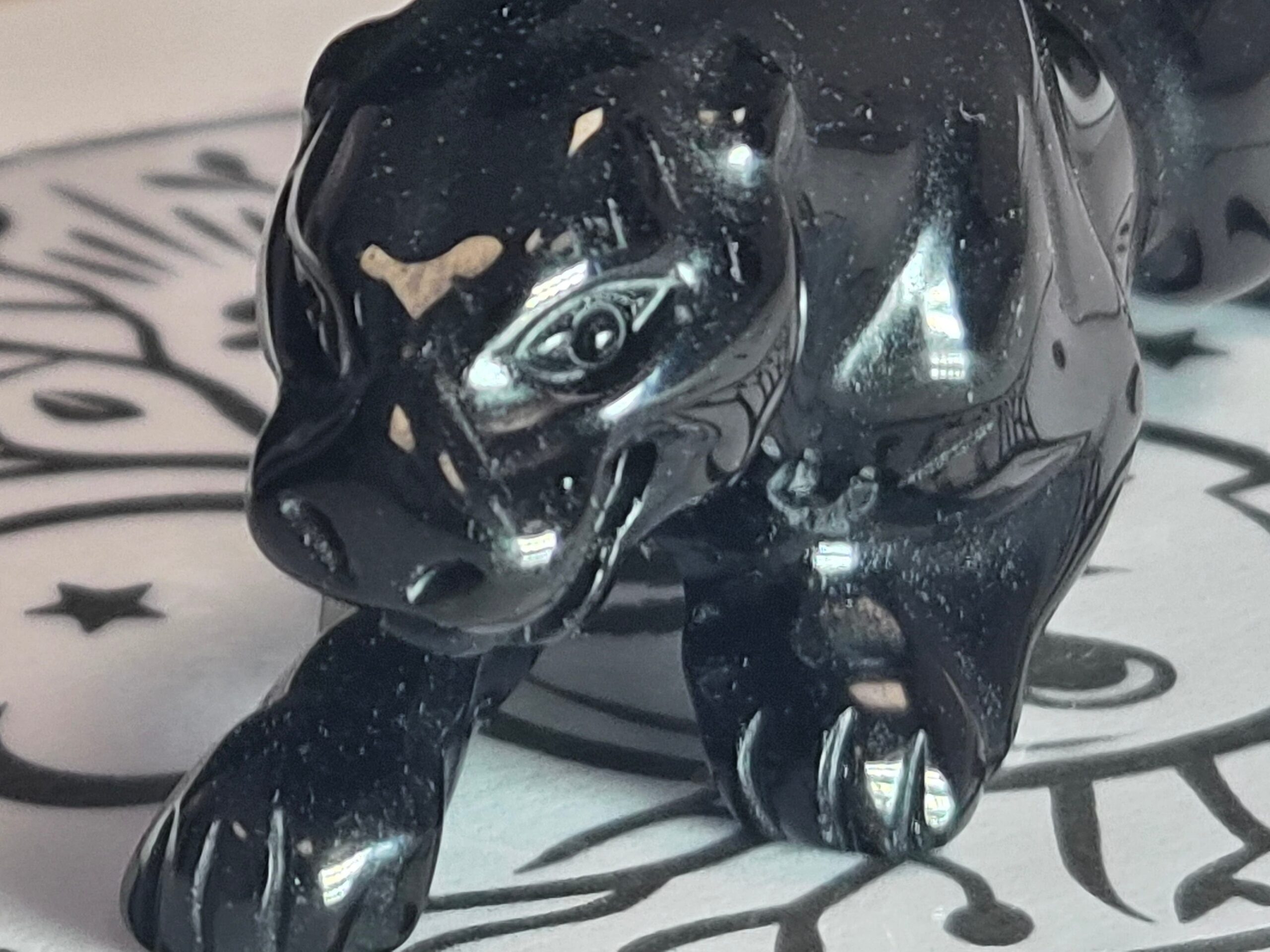 Jaguar Obsidienne noire