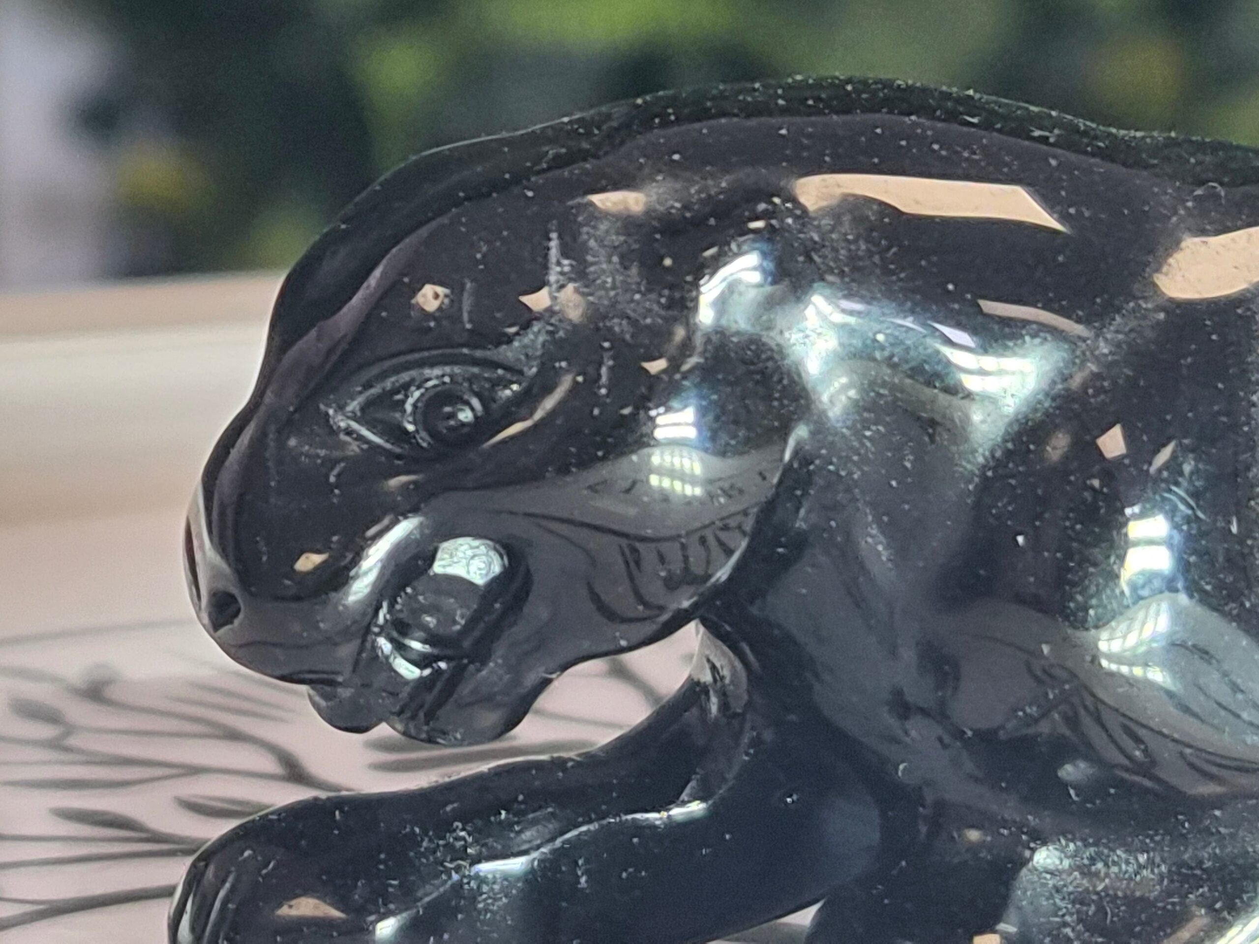 Jaguar Obsidienne noire
