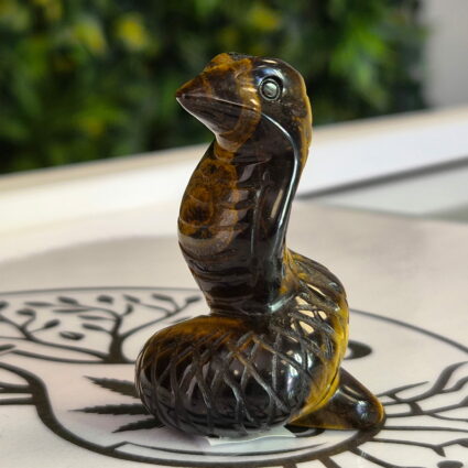 Serpent œil de tigre