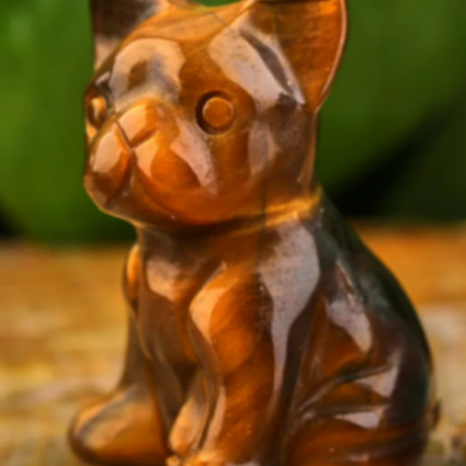 Bouledogue Français en Œil de Tigre 2,5cm