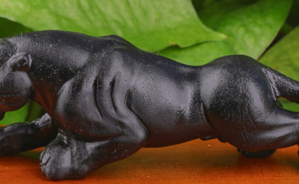 Jaguar Obsidienne noire
