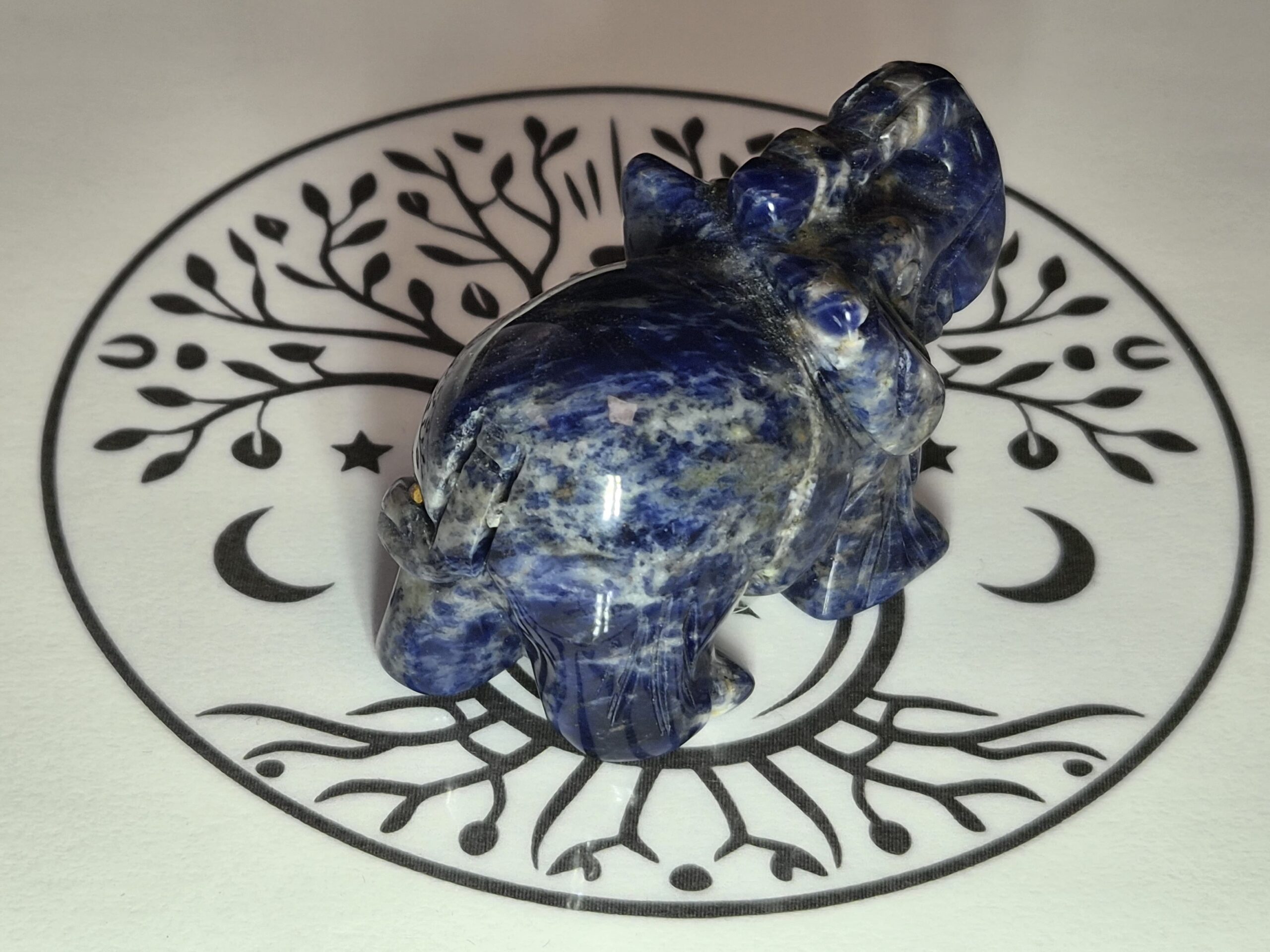 Elephant sodalite bleue