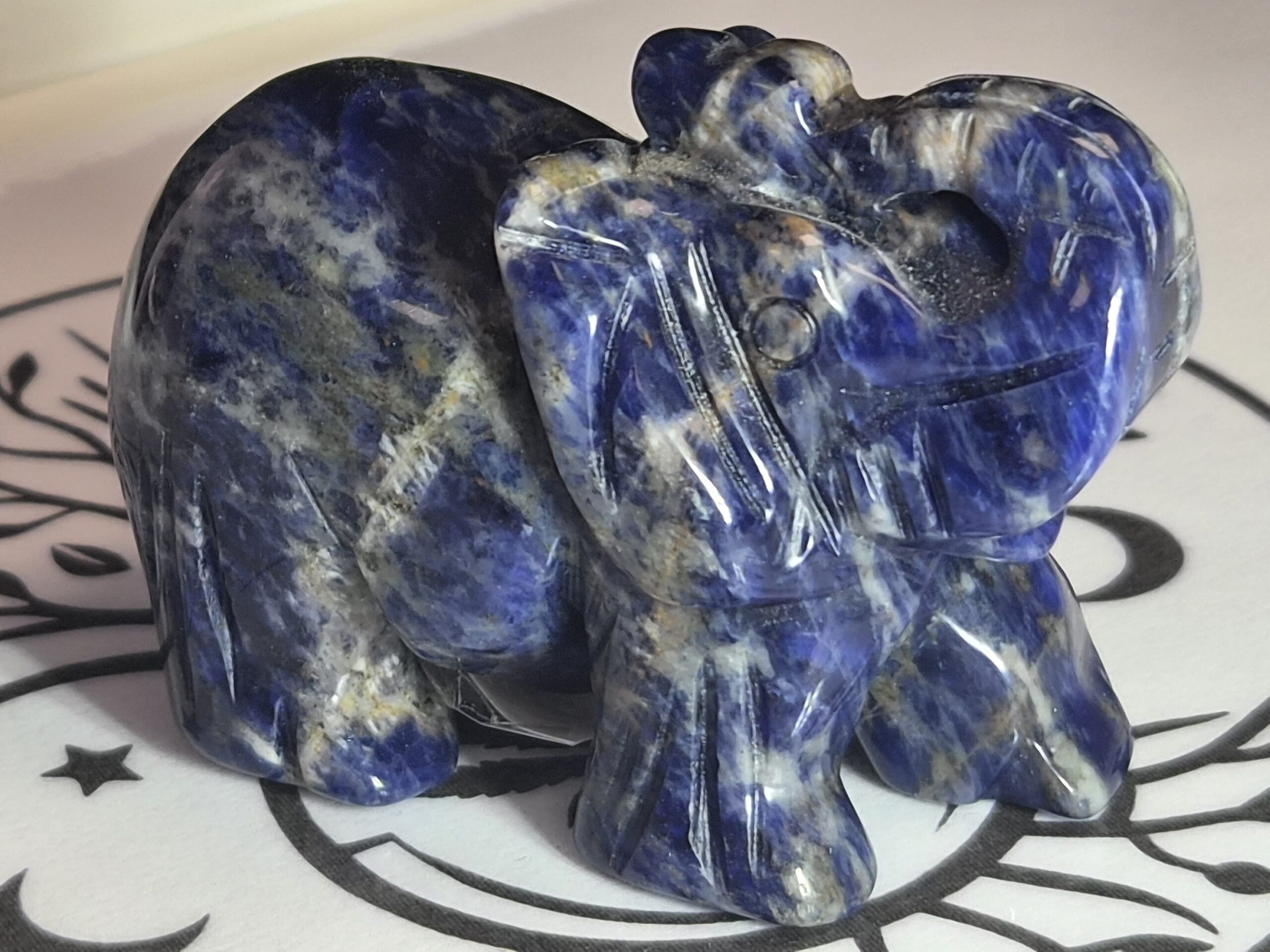 Elephant sodalite bleue