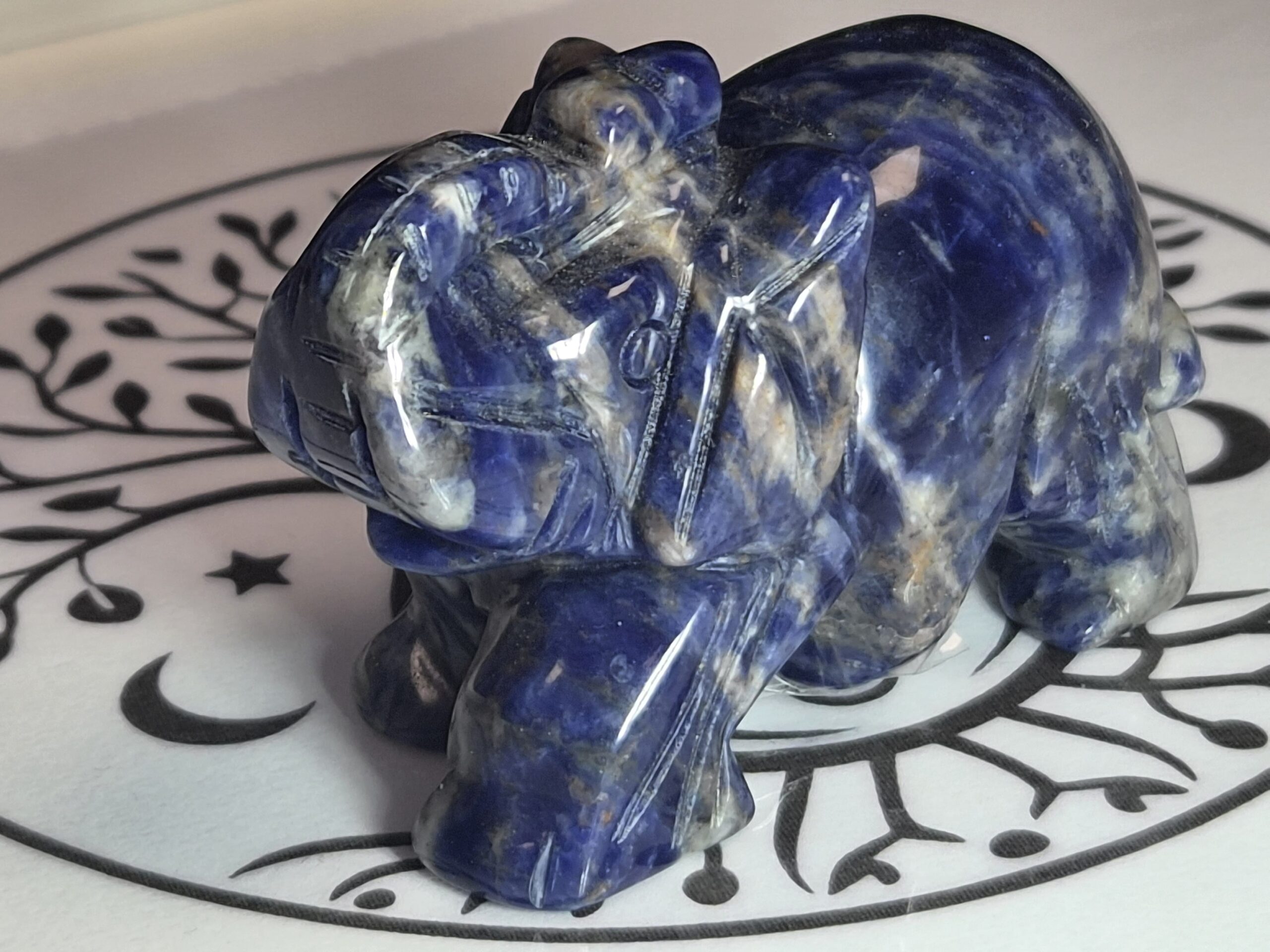 Elephant sodalite bleue