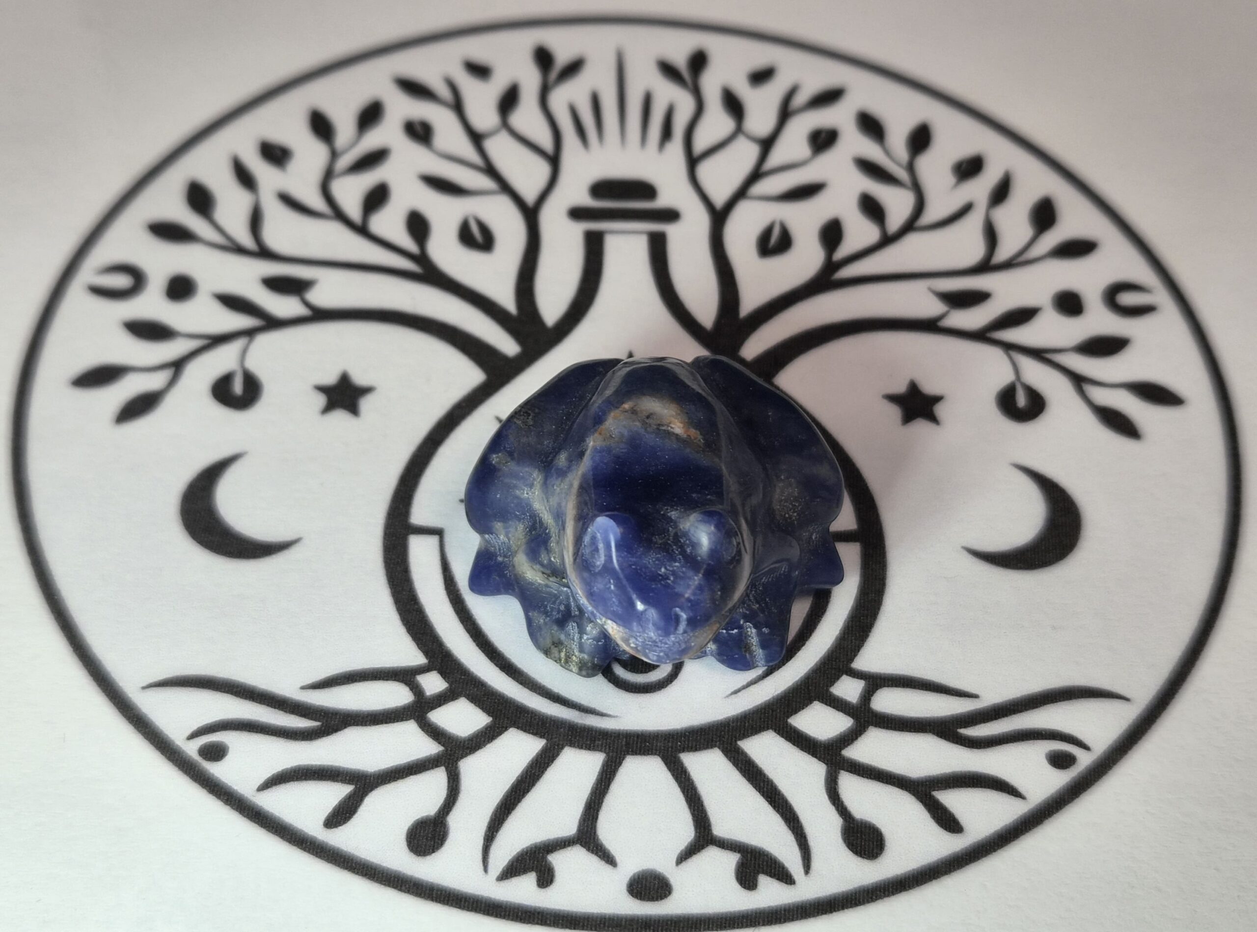 Grenouille Sodalite bleue