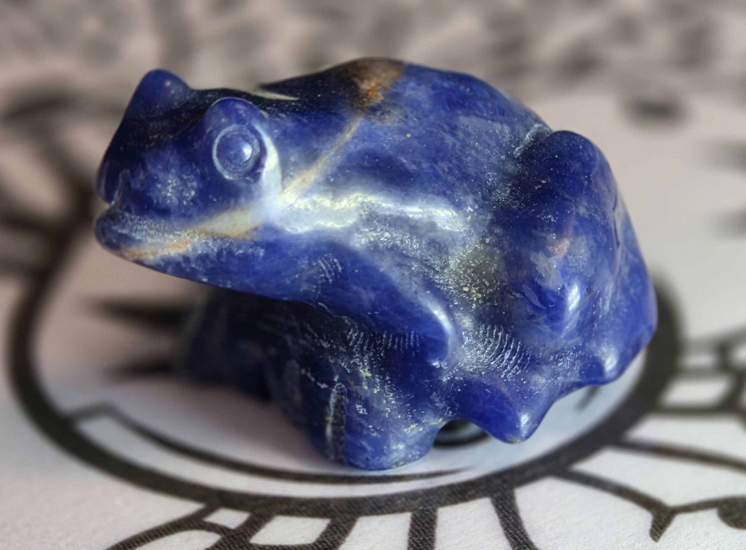 Grenouille Sodalite bleue