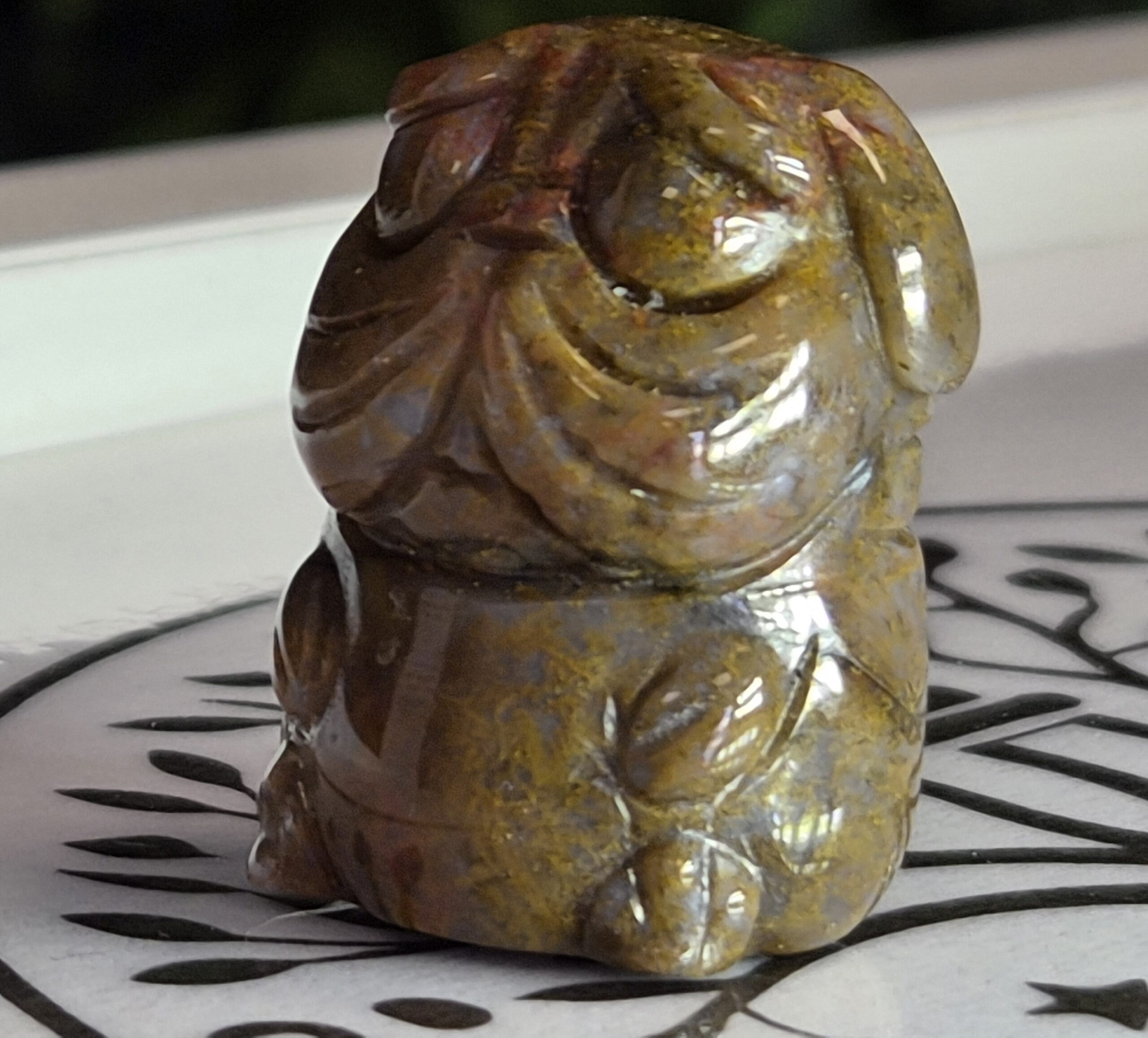 Shapei Œil de tigre