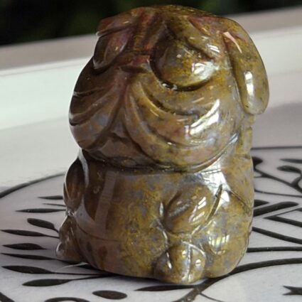 Shapei Œil de tigre