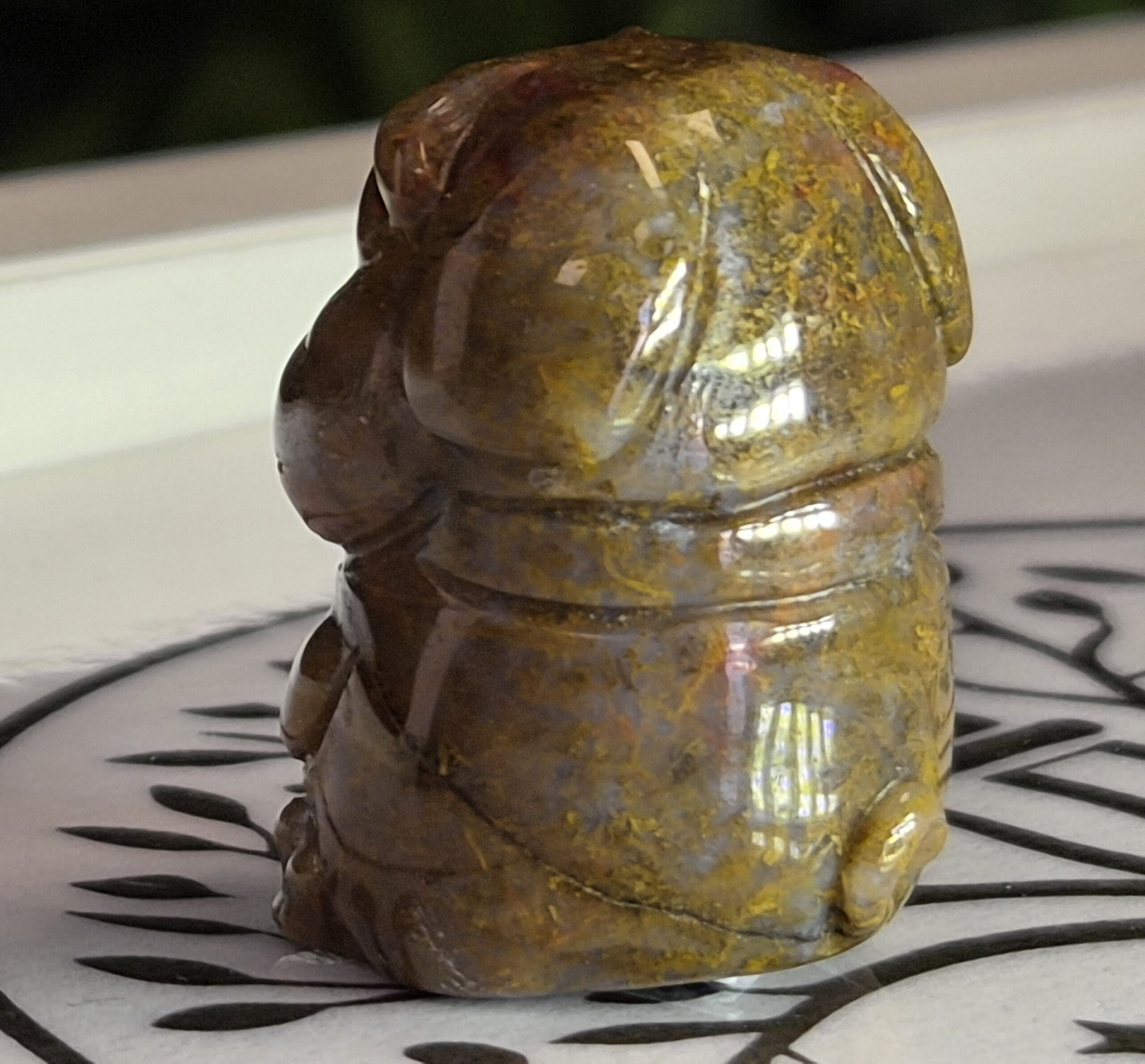 Shapei Œil de tigre