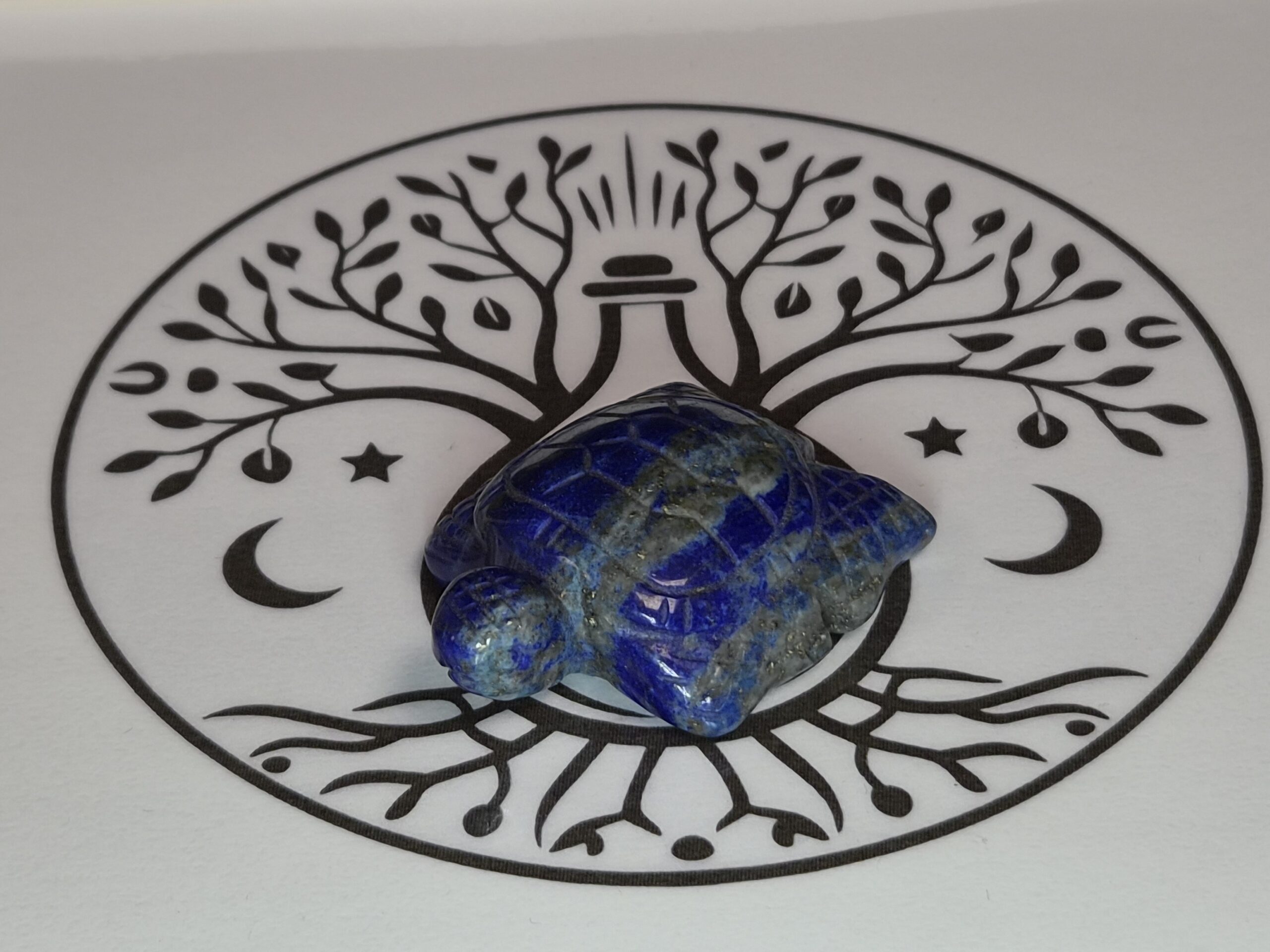 Tortue en Lapis-Lazuli