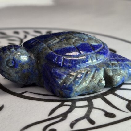Tortue en Lapis-Lazuli
