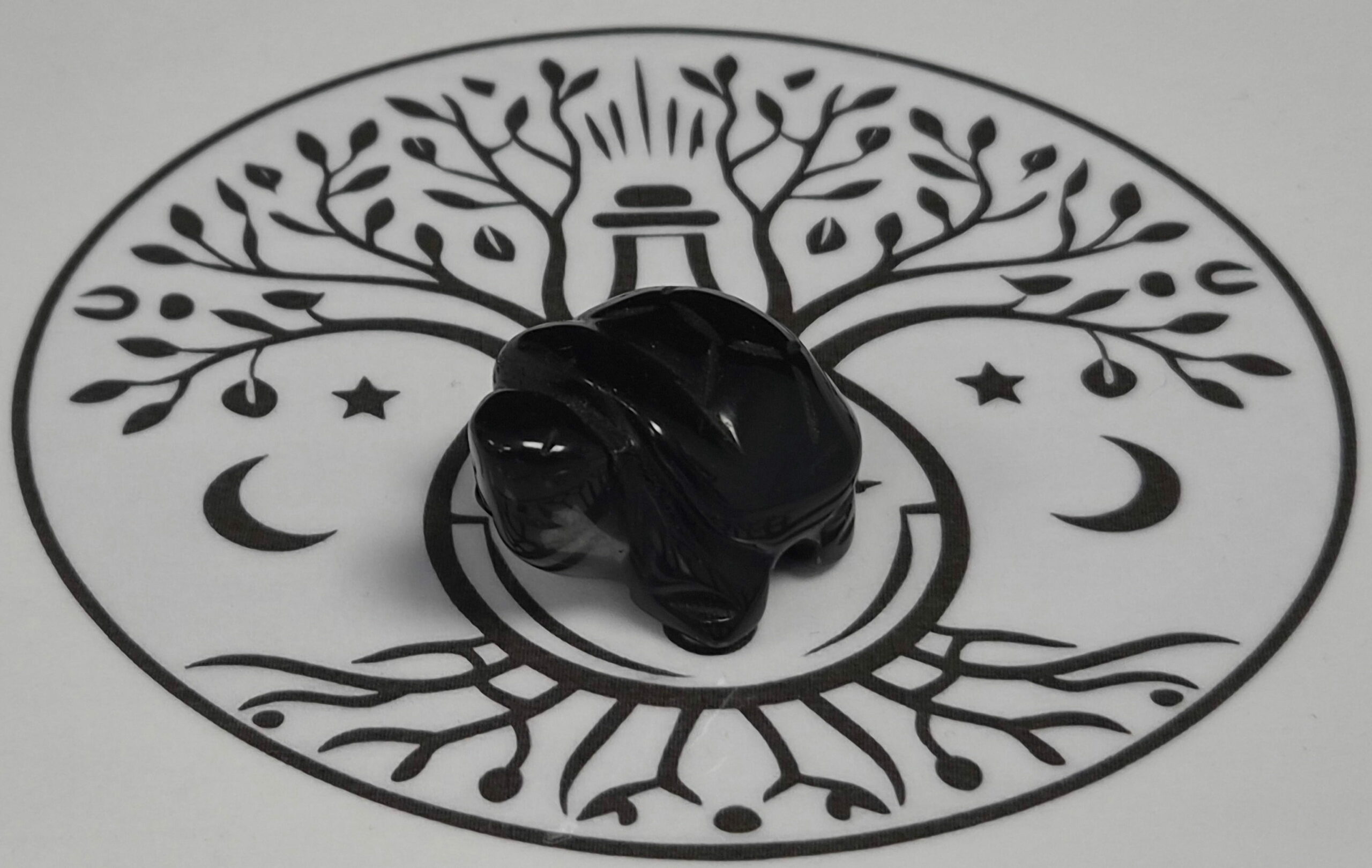TORTUE OBSIDIENNE NOIRE