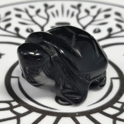 Tortue obsidienne noire
