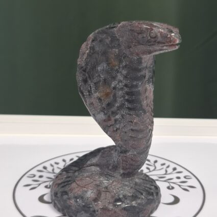 COBRA