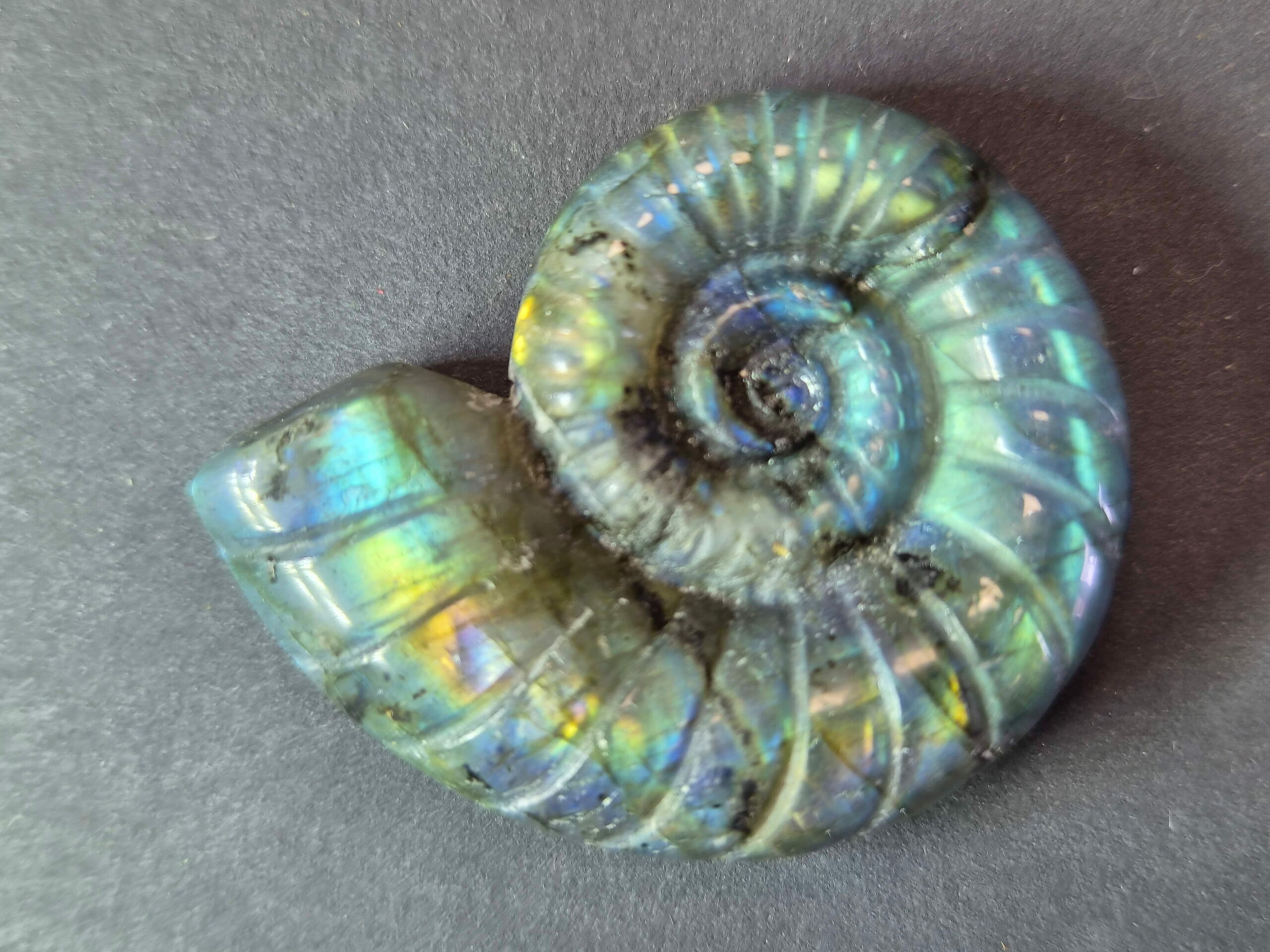Escargot Labradorite Madagascar AA+