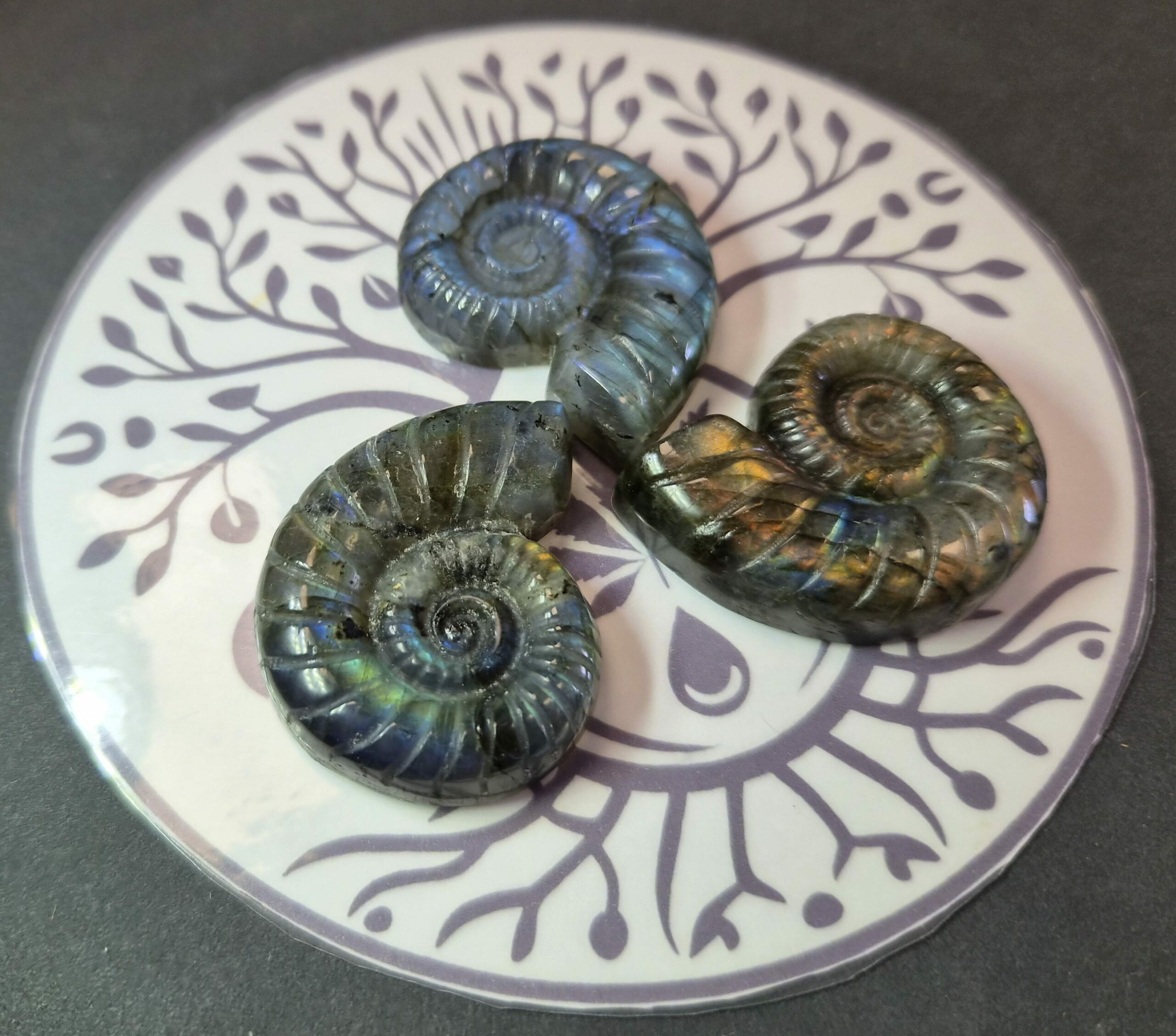 Escargot Labradorite Madagascar AA+