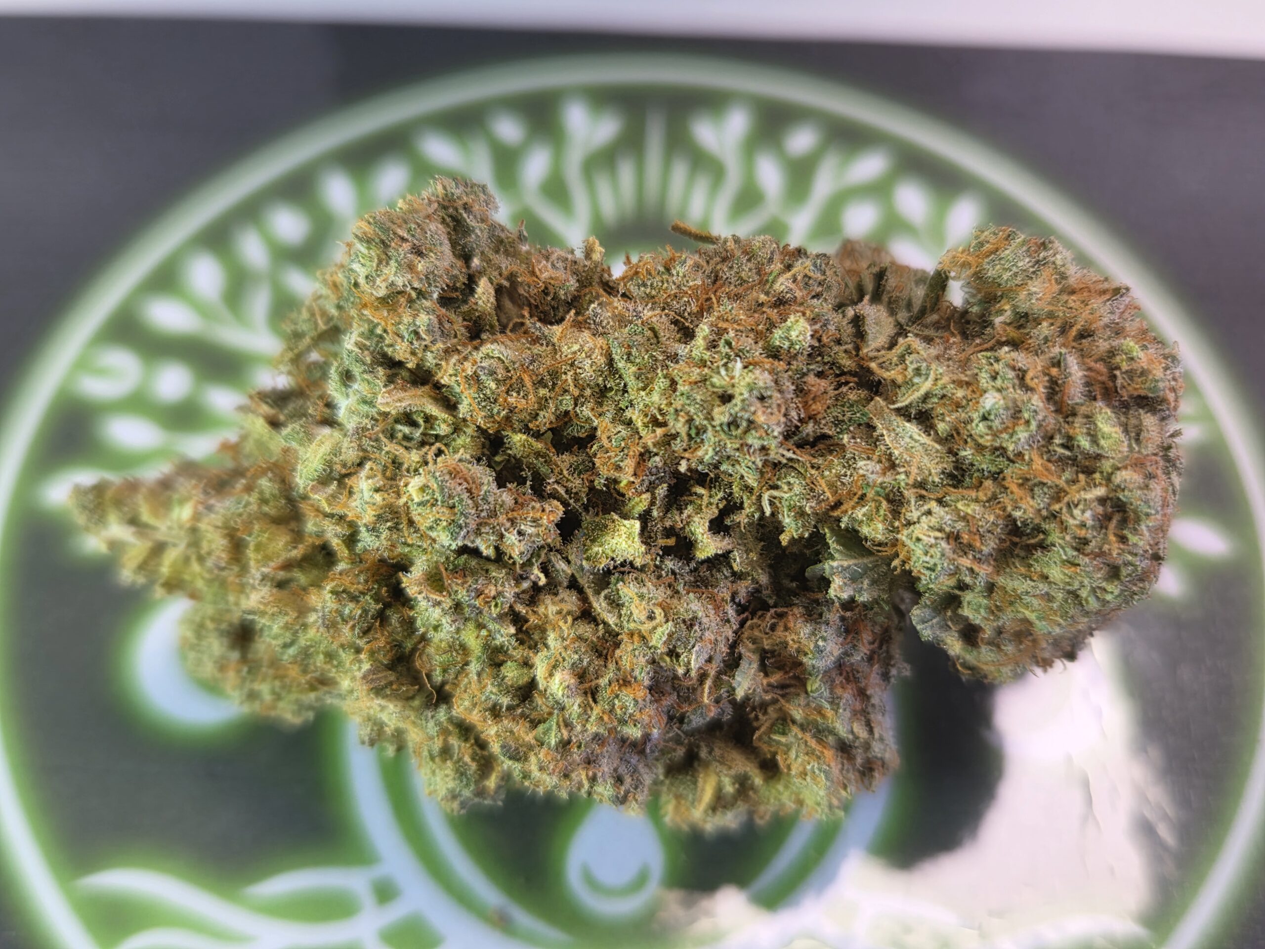 Fleur Premium EXOTIC HAZE