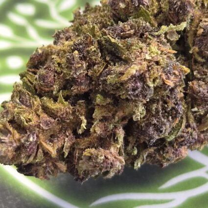 Fleur molécule Delta 10 PURPLE URKLE