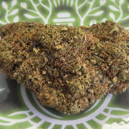 Fleur molécule Delta 10 RAINBOW SHERBERT